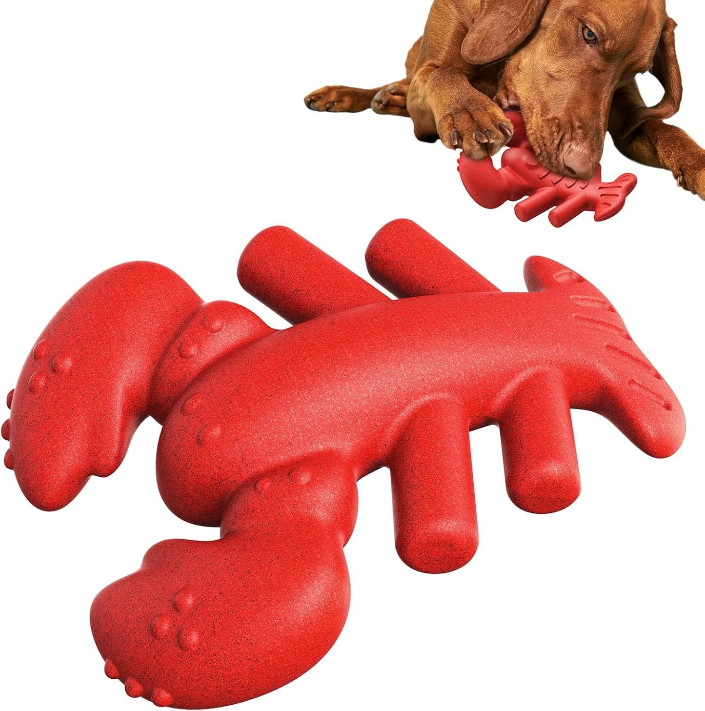 Jouet à mâcher pour chiens agressifs.