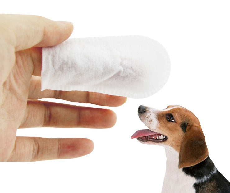 Lingettes pour animaux de compagnie