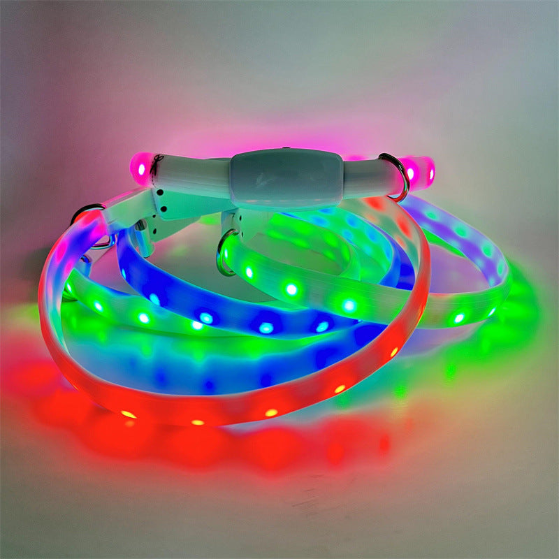 Collier lumineux LED pour chien avec éclairage de course pour chevaux
