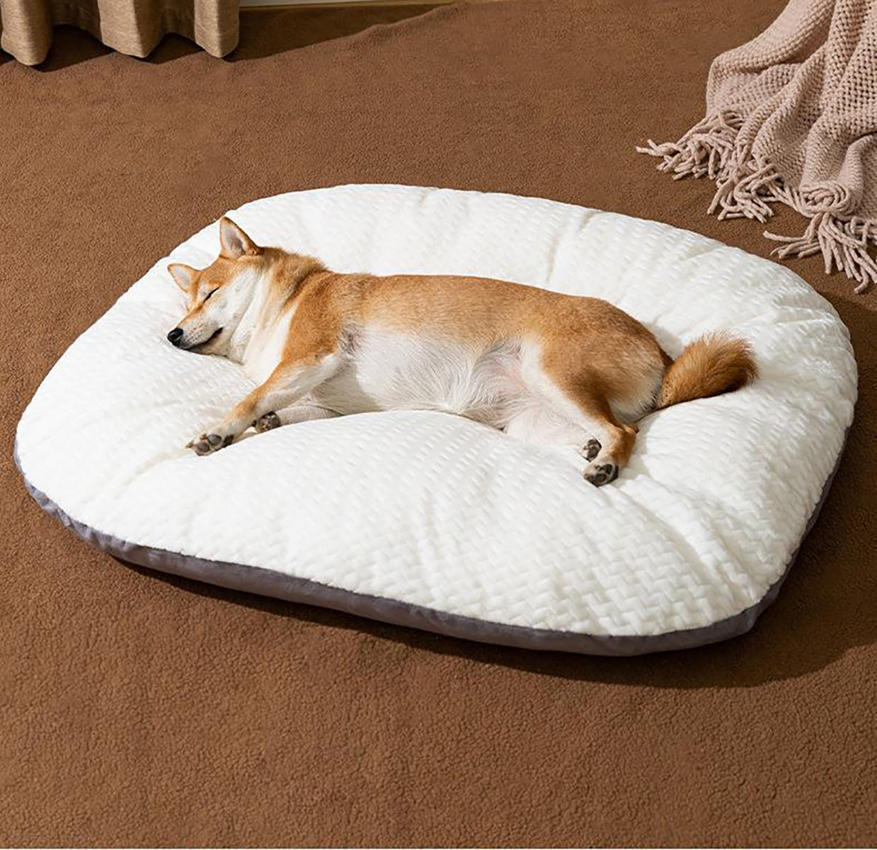 Coussin ovale lavable pour grands chiens – Confort et praticité