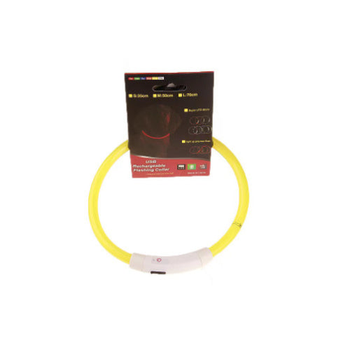 Collier lumineux pour animaux de compagnie, rechargeable par USB