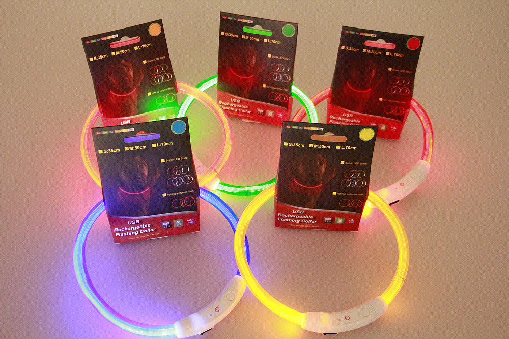 Collier lumineux pour animaux de compagnie, rechargeable par USB