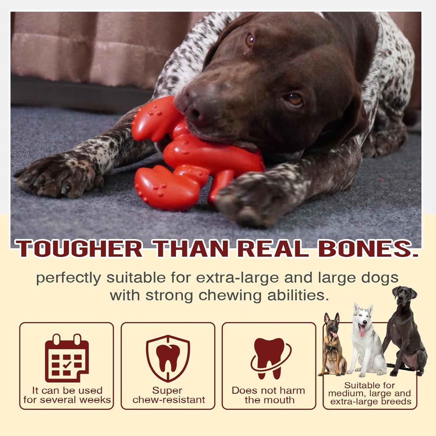 Jouet à mâcher pour chiens agressifs.