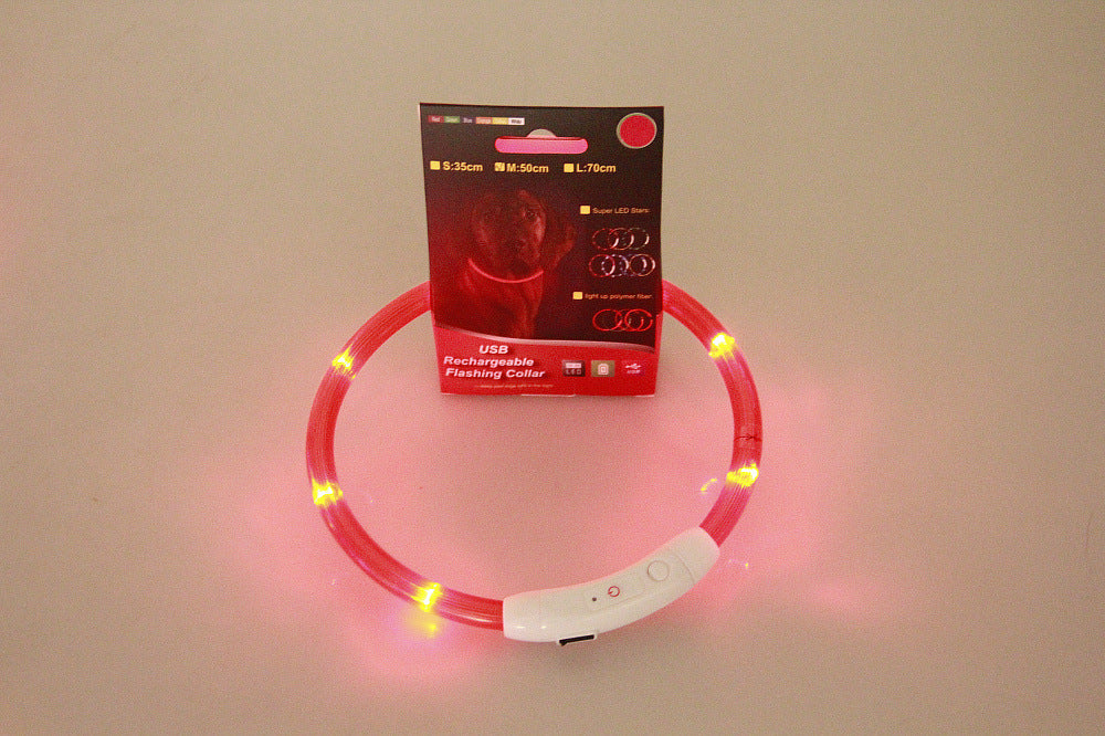 Collier lumineux pour animaux de compagnie, rechargeable par USB