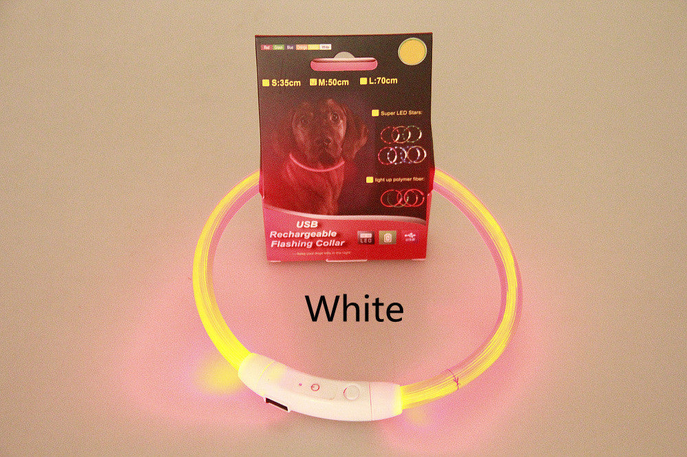 Collier lumineux pour animaux de compagnie, rechargeable par USB