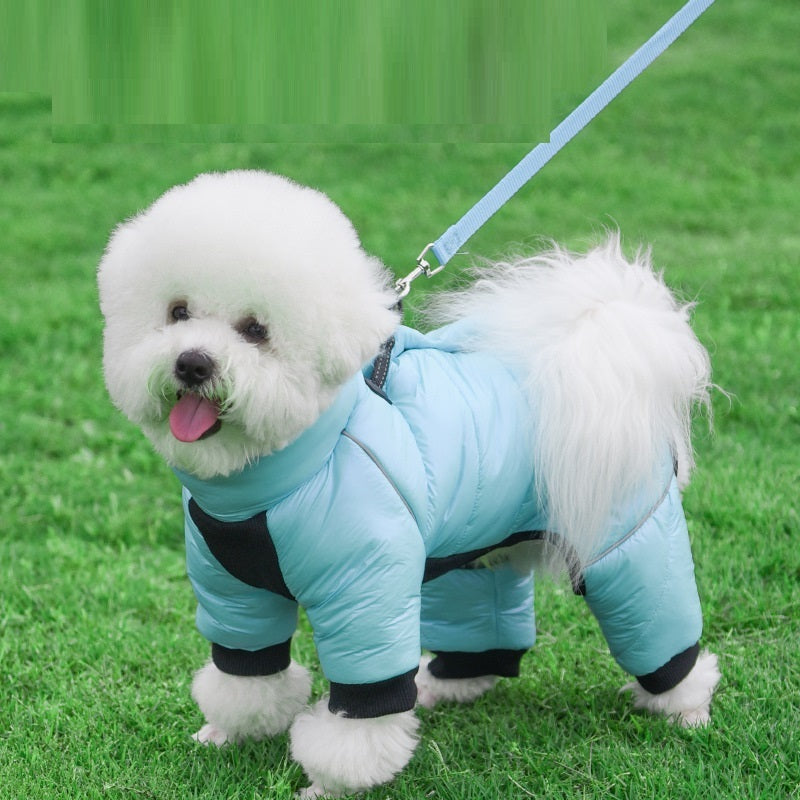 Vêtements d'hiver imperméables pour petits chiens, veste chaude et anti-lumière pour animaux de compagnie