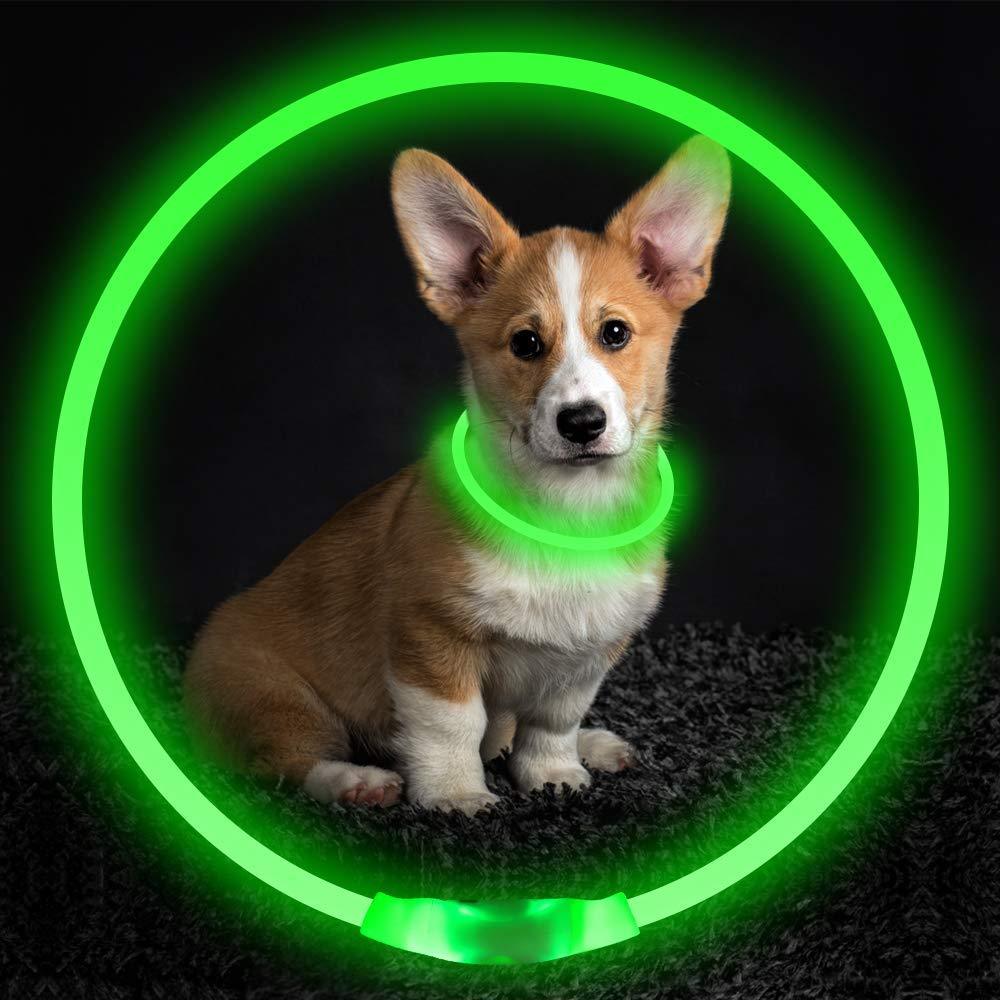 Collier lumineux pour animaux de compagnie, rechargeable par USB
