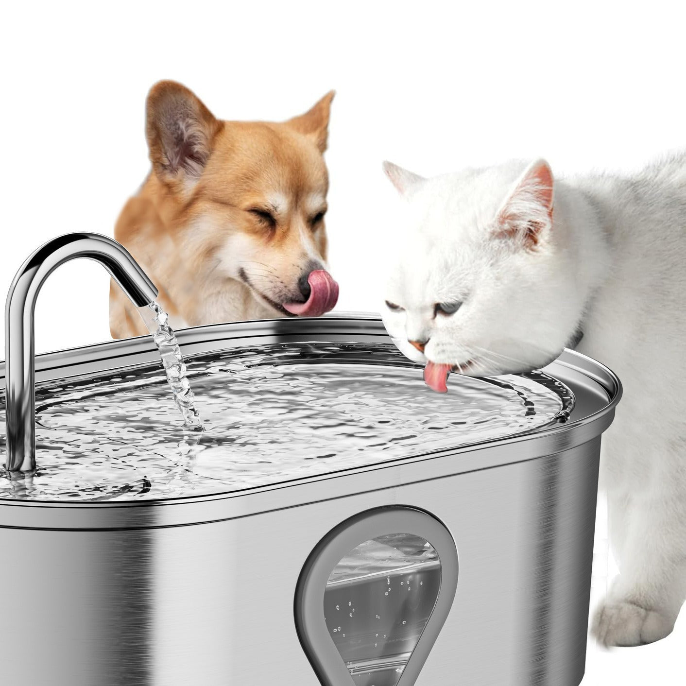 Fontaine à eau automatique pour chats – Hydratation saine et continue