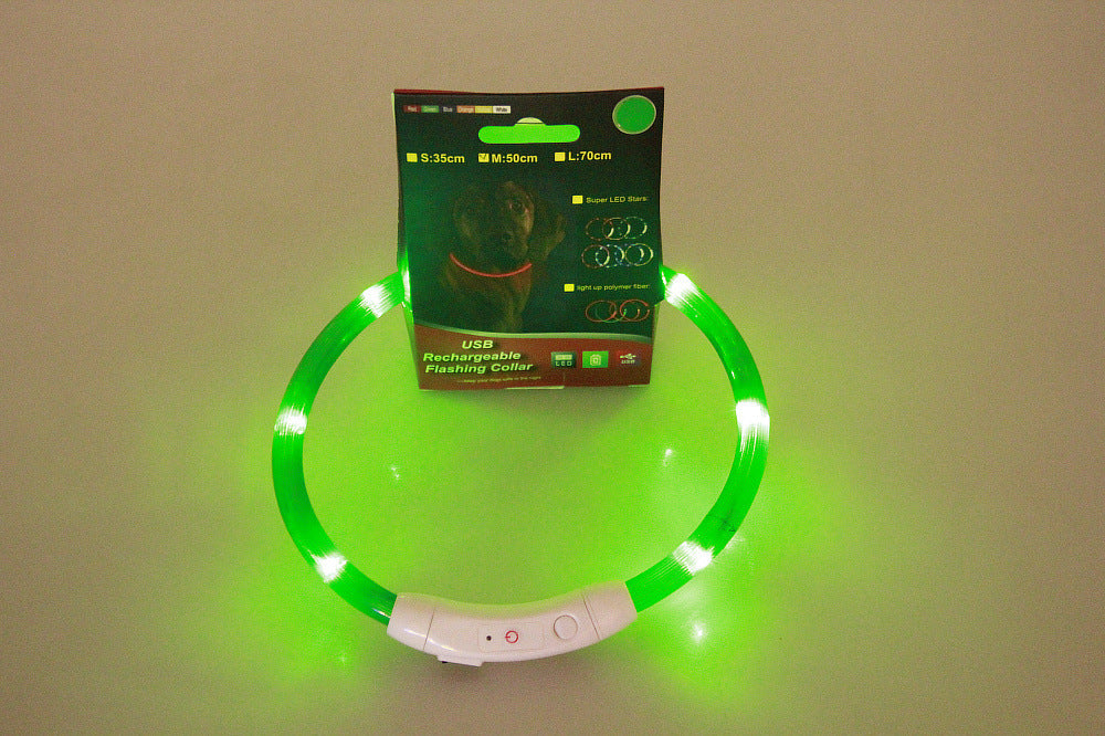 Collier lumineux pour animaux de compagnie, rechargeable par USB