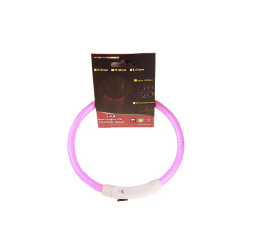 Collier lumineux pour animaux de compagnie, rechargeable par USB