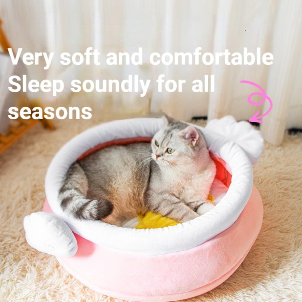 Nid pour chat en forme de pot de miel, grand espace chaud, adapté aux petits chats et chiens