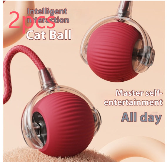 Jouet électrique pour chat, balle automatique pour chat, auto-divertissement, balle roulante