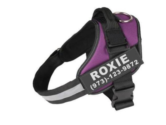Harnais pour chien personnalisé, réfléchissant, respirant, réglable, anti-traction