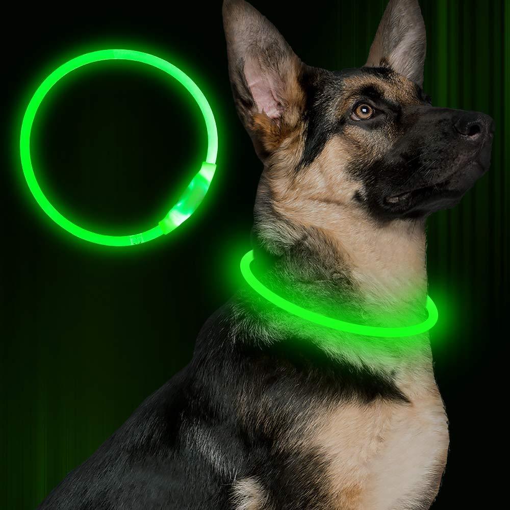 Collier lumineux pour animaux de compagnie, rechargeable par USB