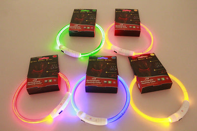 Collier lumineux pour animaux de compagnie, rechargeable par USB