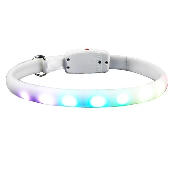 Collier lumineux LED pour chien avec éclairage de course pour chevaux