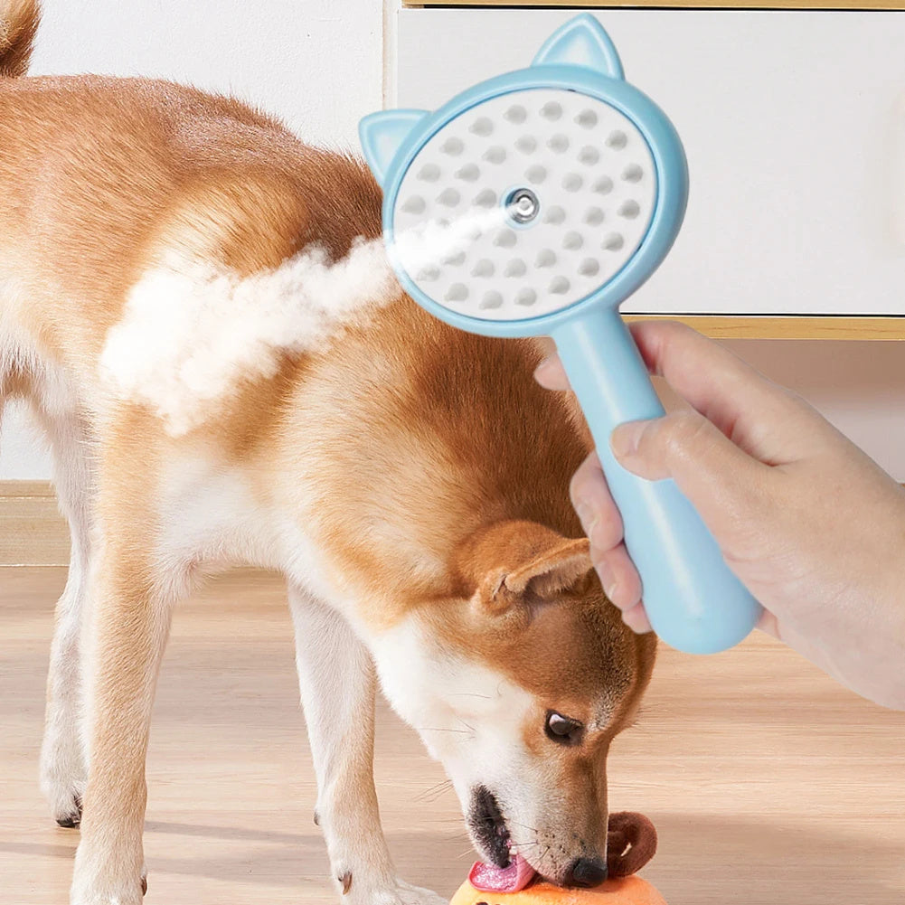 Brosse de nettoyage pour poils avec brumisateur multifonction rechargeable