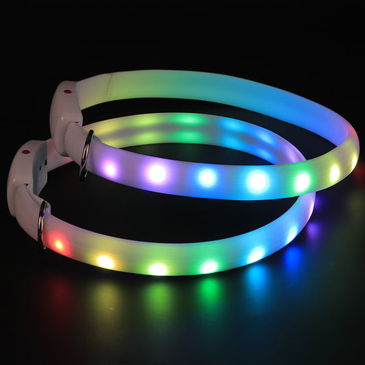 Collier lumineux LED pour chien avec éclairage de course pour chevaux