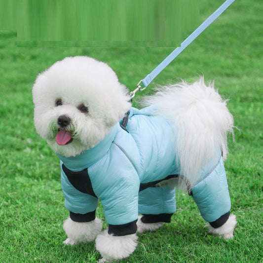 Veste imperméable pour chien