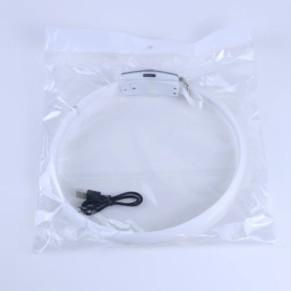 Collier lumineux LED pour chien avec éclairage de course pour chevaux