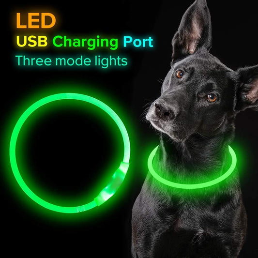 Collier lumineux pour animaux de compagnie, rechargeable par USB