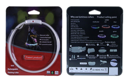 Collier lumineux LED pour chien avec éclairage de course pour chevaux