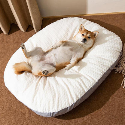 Coussin ovale lavable pour grands chiens – Confort et praticité