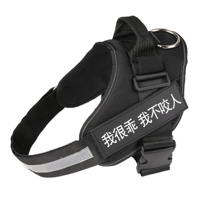 Harnais pour chien personnalisé, réfléchissant, respirant, réglable, anti-traction